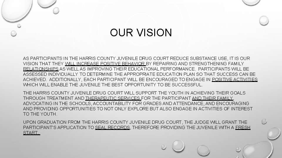 OUR VISION AS PARTICIPANTS IN THE HARRIS COUNTY JUVENILE DRUG COURT REDUCE SUBSTANCE USE,