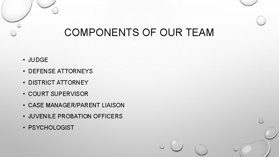COMPONENTS OF OUR TEAM • JUDGE • DEFENSE ATTORNEYS • DISTRICT ATTORNEY • COURT