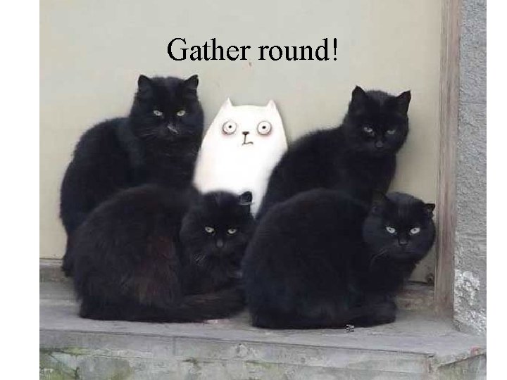 Gather round! 