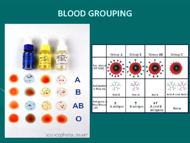 BLOOD GROUPING 