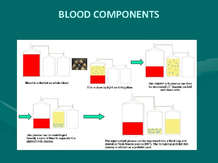 BLOOD COMPONENTS BLOOD COMPONENTS