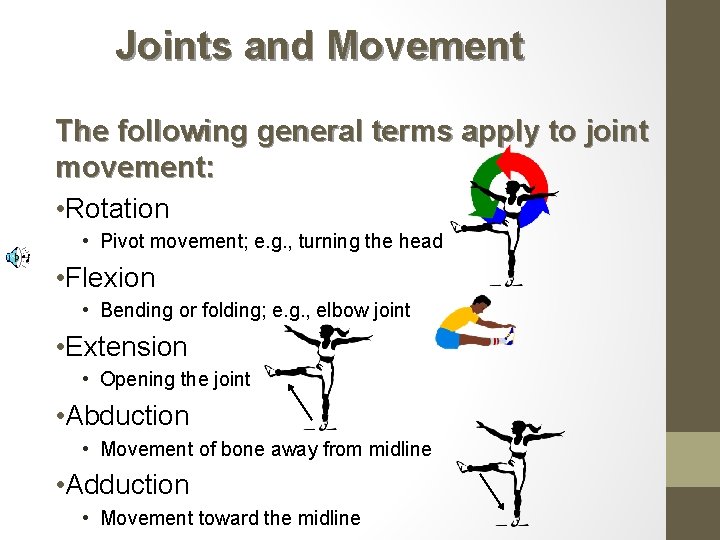 Joints and Movement The following general terms apply to joint movement: • Rotation •