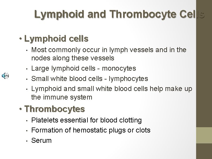 Lymphoid and Thrombocyte Cells • Lymphoid cells • • Most commonly occur in lymph