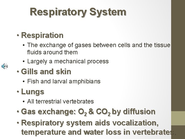Respiratory System • Respiration • The exchange of gases between cells and the tissue