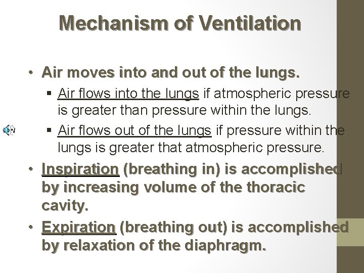 Mechanism of Ventilation • Air moves into and out of the lungs. § Air