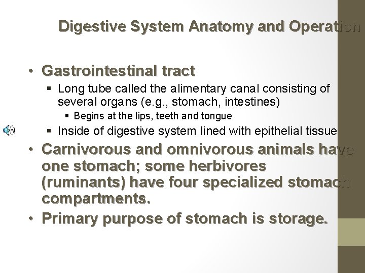 Digestive System Anatomy and Operation • Gastrointestinal tract § Long tube called the alimentary