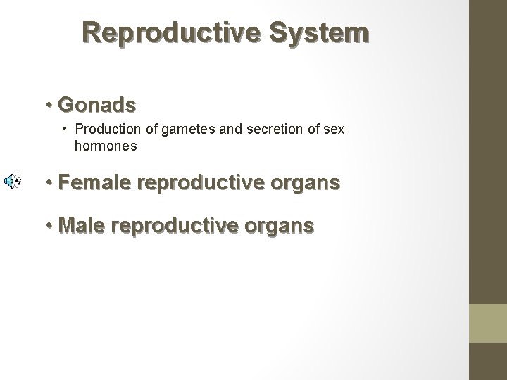 Reproductive System • Gonads • Production of gametes and secretion of sex hormones •