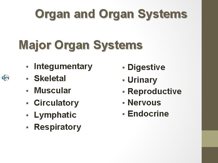 Organ and Organ Systems Major Organ Systems § § § Integumentary Skeletal Muscular Circulatory