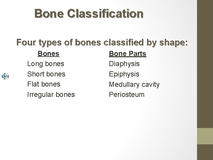 Bone Classification Four types of bones classified by shape: Bones Long bones Short bones