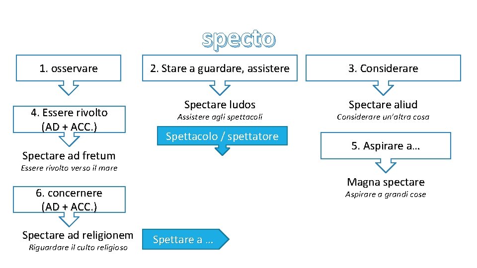 specto 1. osservare 4. Essere rivolto (AD + ACC. ) 2. Stare a guardare,