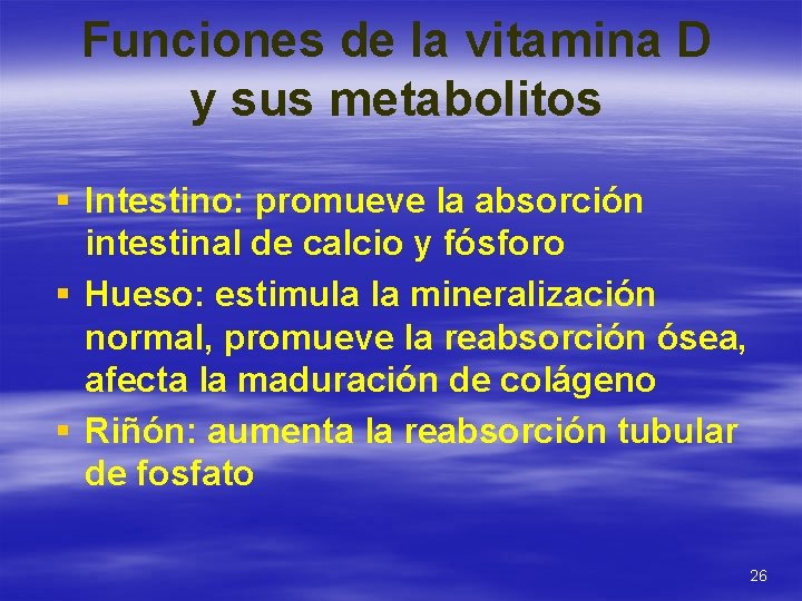 Funciones de la vitamina D y sus metabolitos § Intestino: promueve la absorción intestinal