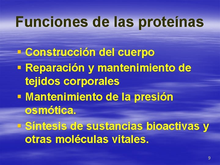 Funciones de las proteínas § Construcción del cuerpo § Reparación y mantenimiento de tejidos