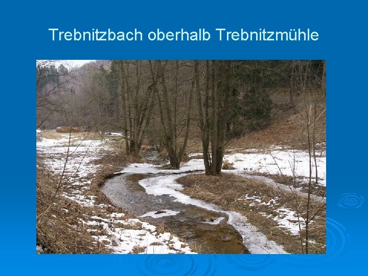 Trebnitzbach oberhalb Trebnitzmühle 