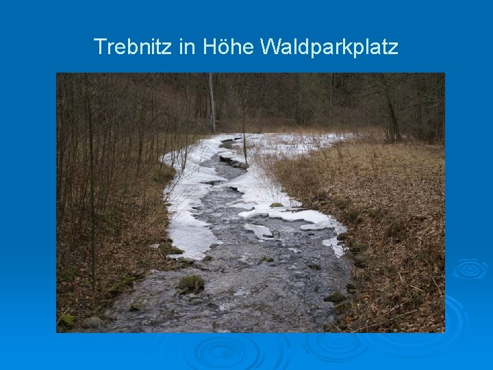 Trebnitz in Höhe Waldparkplatz 