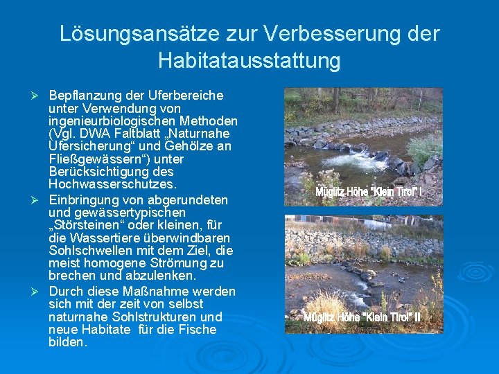 Lösungsansätze zur Verbesserung der Habitatausstattung Bepflanzung der Uferbereiche unter Verwendung von ingenieurbiologischen Methoden (Vgl.