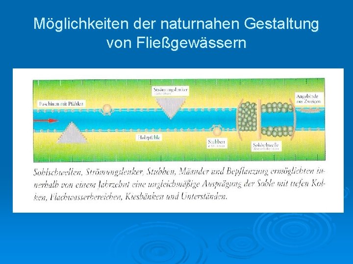 Möglichkeiten der naturnahen Gestaltung von Fließgewässern 