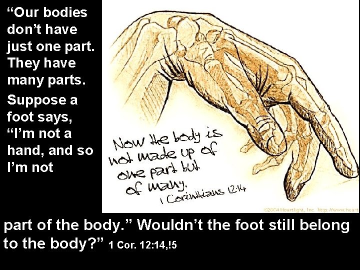 “Our bodies don’t have just one part. They have many parts. Suppose a foot