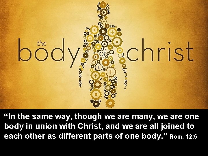 “In the same way, though we are many, we are one body in union