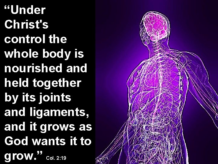 “Under Christ's control the whole body is nourished and held together by its joints