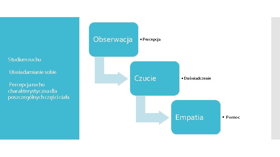 Obserwacja • Percepcja Studium ruchu Uświadamianie sobie Percepcja ruchu charakterystyczna dla poszczególnych części ciała