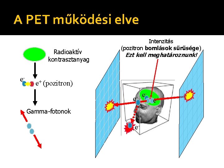 A PET működési elve Radioaktív kontrasztanyag e- Intenzitás (pozitron bomlások sűrűsége) Ezt kell meghatároznunk!