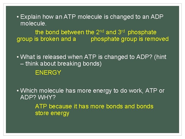  • Explain how an ATP molecule is changed to an ADP molecule. the