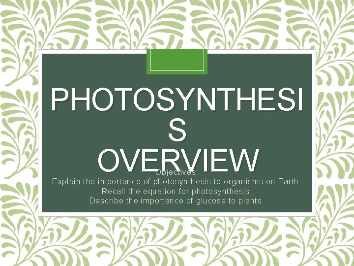 PHOTOSYNTHESI S OVERVIEW Objectives: Explain the importance of photosynthesis to organisms on Earth. Recall