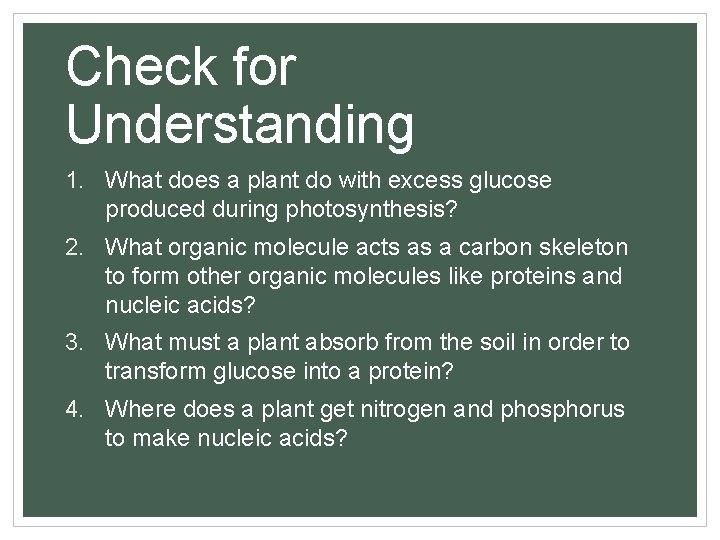 Check for Understanding 1. What does a plant do with excess glucose produced during