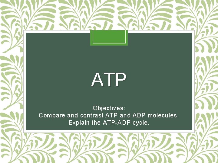 ATP Objectives: Compare and contrast ATP and ADP molecules. Explain the ATP-ADP cycle. 
