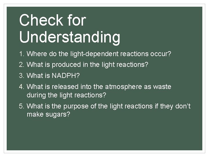 Check for Understanding 1. Where do the light-dependent reactions occur? 2. What is produced