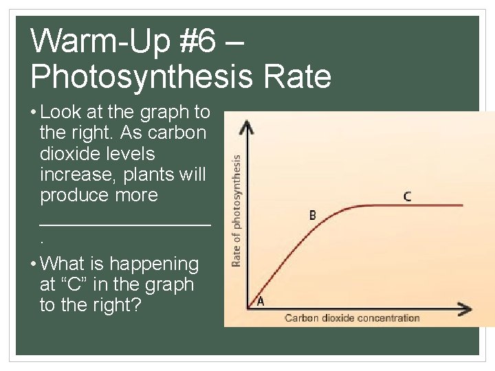 Warm-Up #6 – Photosynthesis Rate • Look at the graph to the right. As