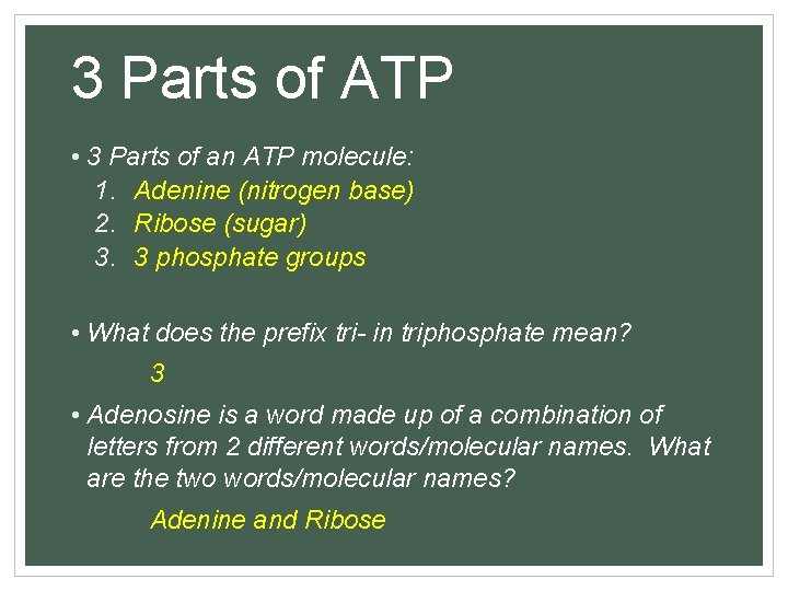 3 Parts of ATP • 3 Parts of an ATP molecule: 1. Adenine (nitrogen