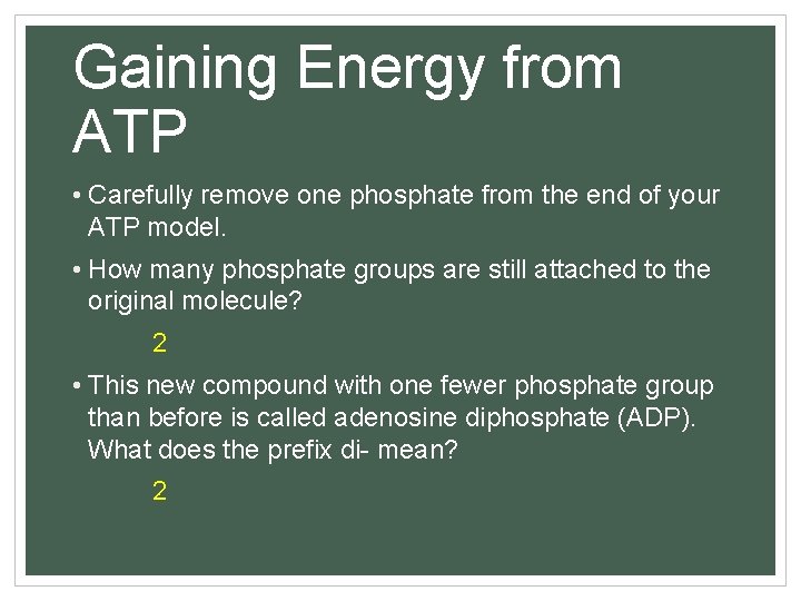 Gaining Energy from ATP • Carefully remove one phosphate from the end of your