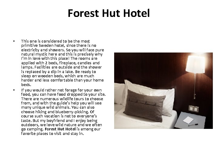 Forest Hut Hotel • • This one is considered to be the most primitive