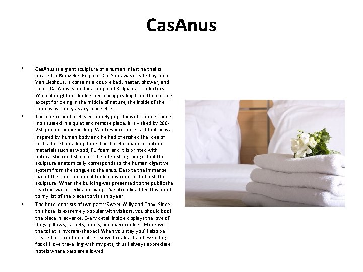 Cas. Anus • • • Cas. Anus is a giant sculpture of a human