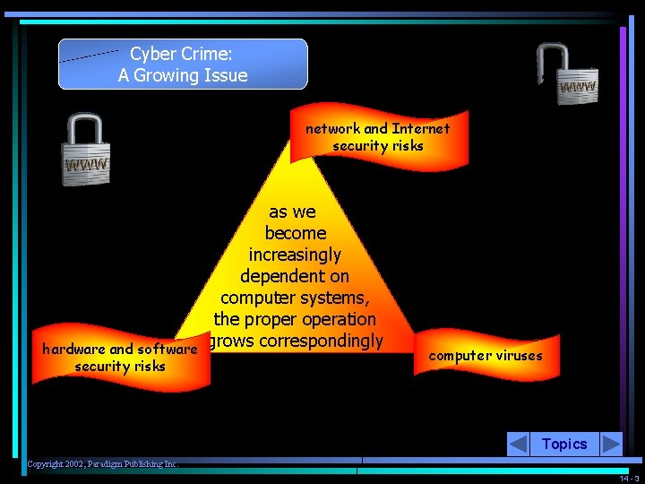 Cyber Crime: A Growing Issue network and Internet security risks hardware and software security