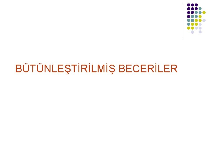 BÜTÜNLEŞTİRİLMİŞ BECERİLER 