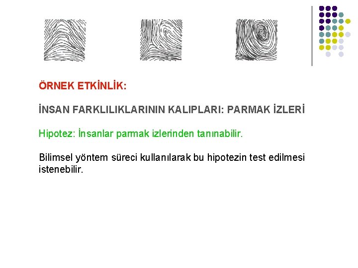 ÖRNEK ETKİNLİK: İNSAN FARKLILIKLARININ KALIPLARI: PARMAK İZLERİ Hipotez: İnsanlar parmak izlerinden tanınabilir. Bilimsel yöntem