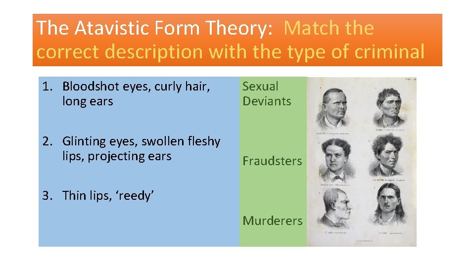 The Atavistic Form Theory: Match the correct description with the type of criminal 1.