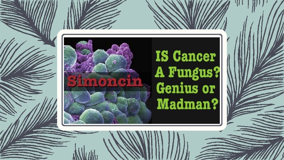 Is Cancer A Fungus? 