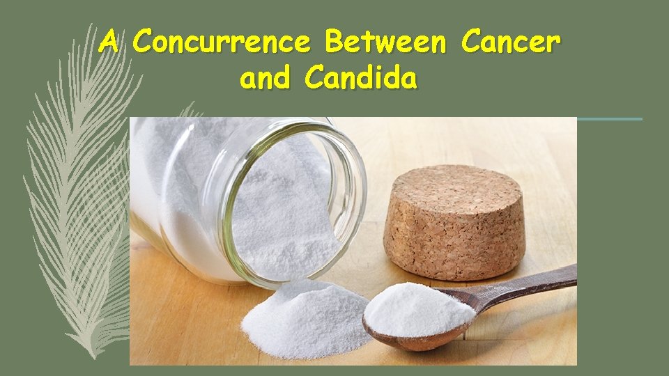 A Concurrence Between Cancer and Candida 