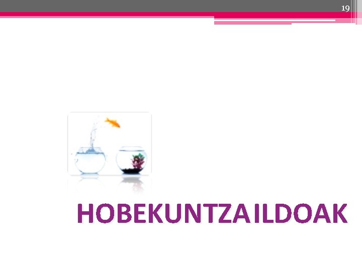 19 HOBEKUNTZA ILDOAK 