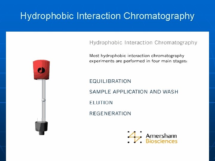 Hydrophobic interaction chromatography Alternatives Gel filtration
