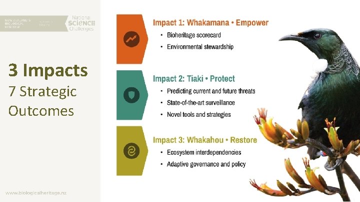 3 Impacts 7 Strategic Outcomes 