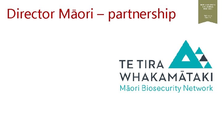 Director Māori – partnership 