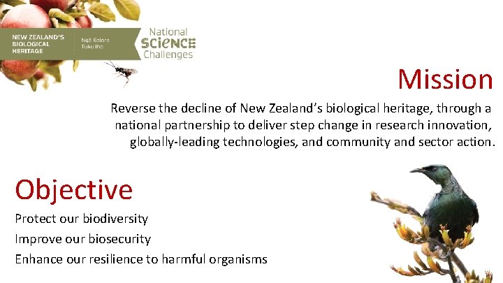 Mission Reverse the decline of New Zealand’s biological heritage, through a national partnership to