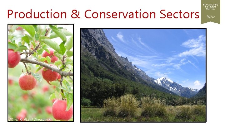 Production & Conservation Sectors Plant & Food Research 