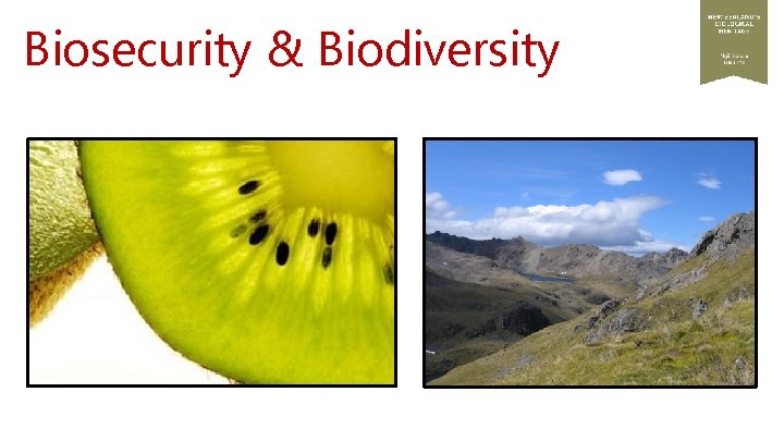 Biosecurity & Biodiversity 