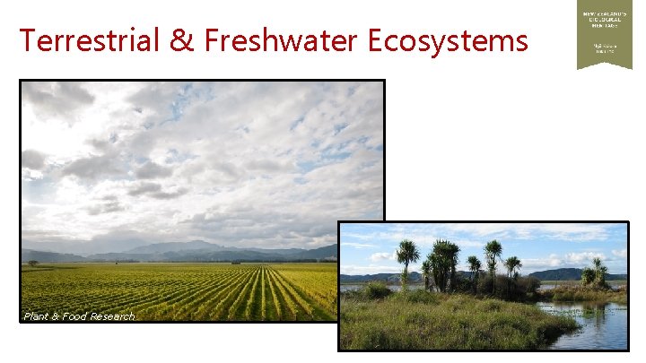 Terrestrial & Freshwater Ecosystems Plant & Food Research 