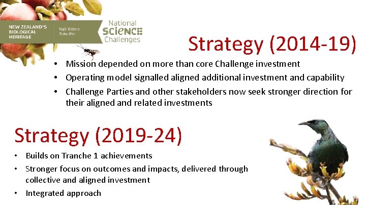 Strategy (2014 -19) • Mission depended on more than core Challenge investment • Operating